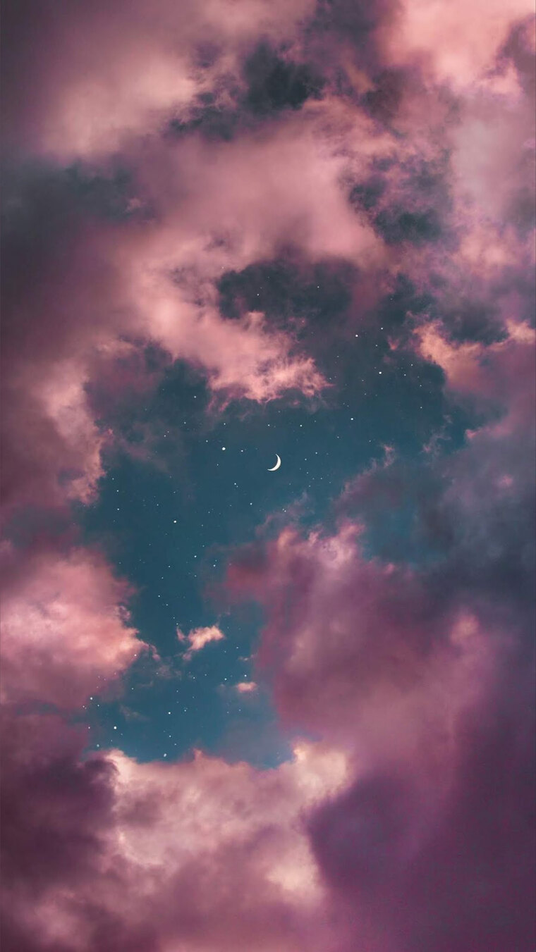 Cherry 🍒 cover image