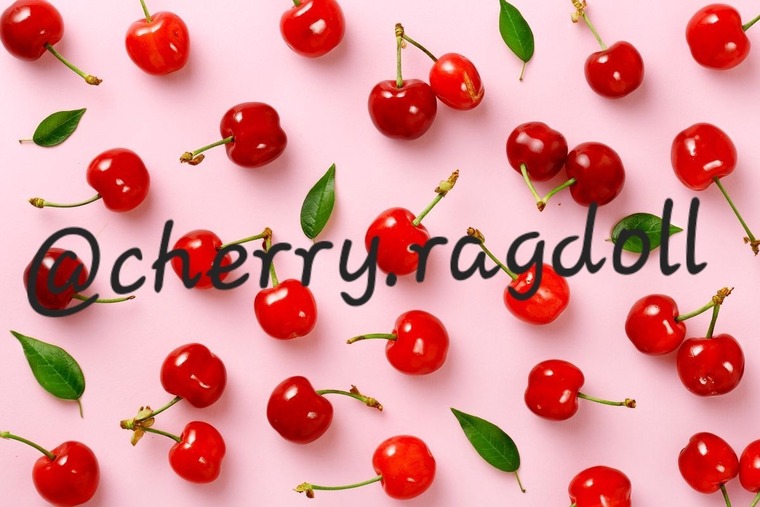 Cheryl Ragdoll banner image