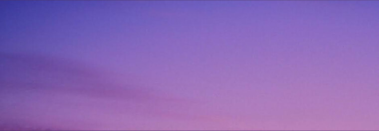 Cherry banner image