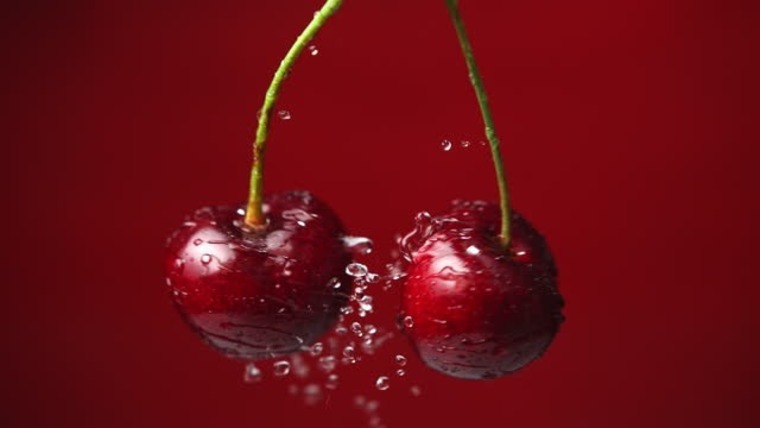 Chocolate Cherry Baby cover image