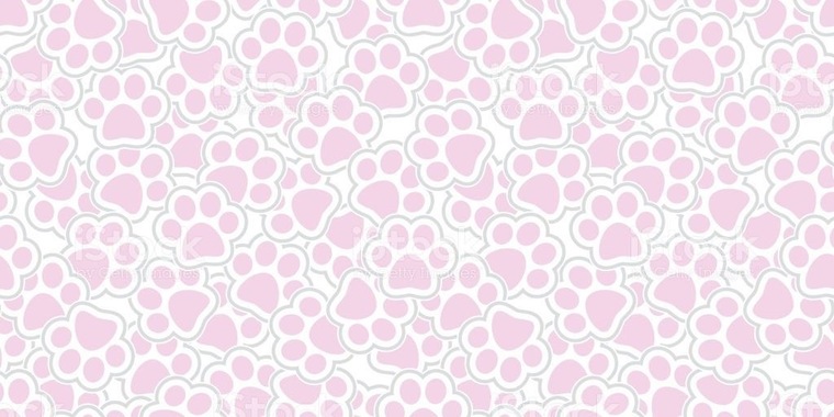 Cherry cover image