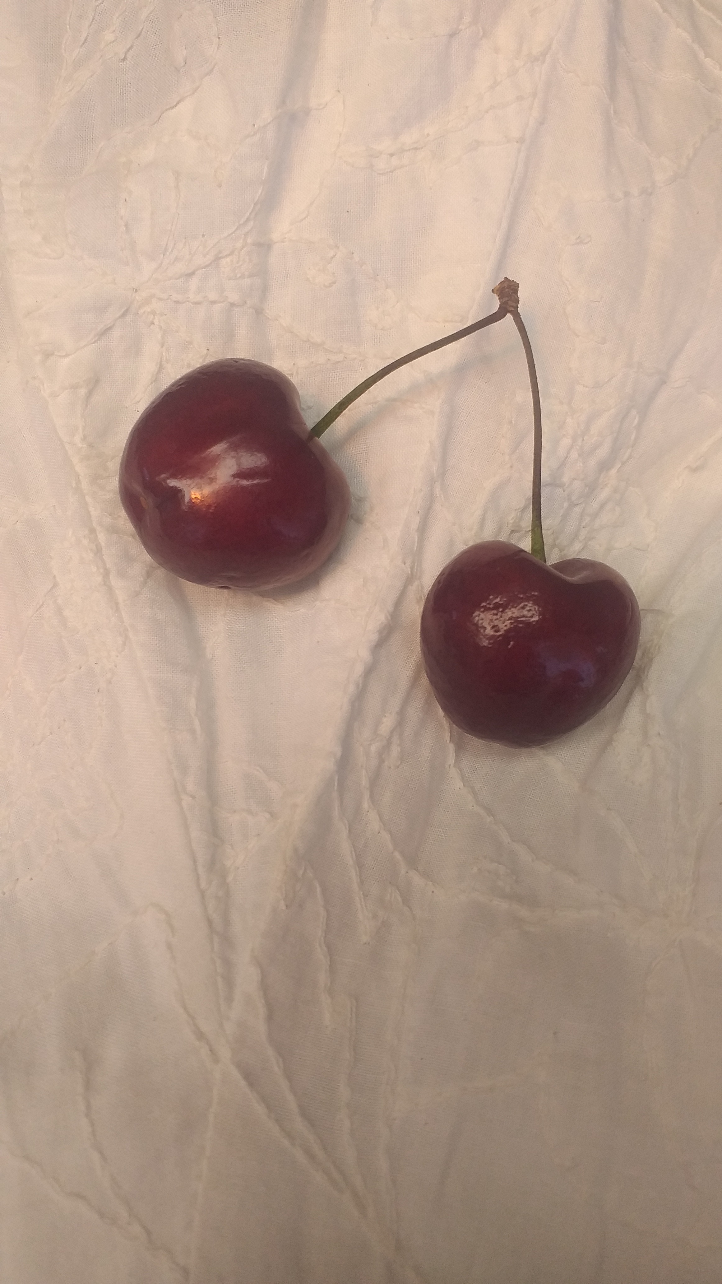 Cherrypop banner image
