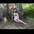 CherryLu avatar