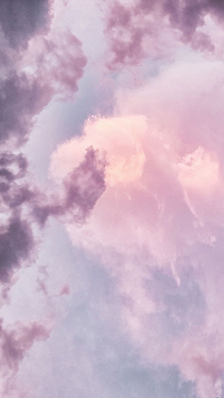 Cherry Blossom💕 banner image