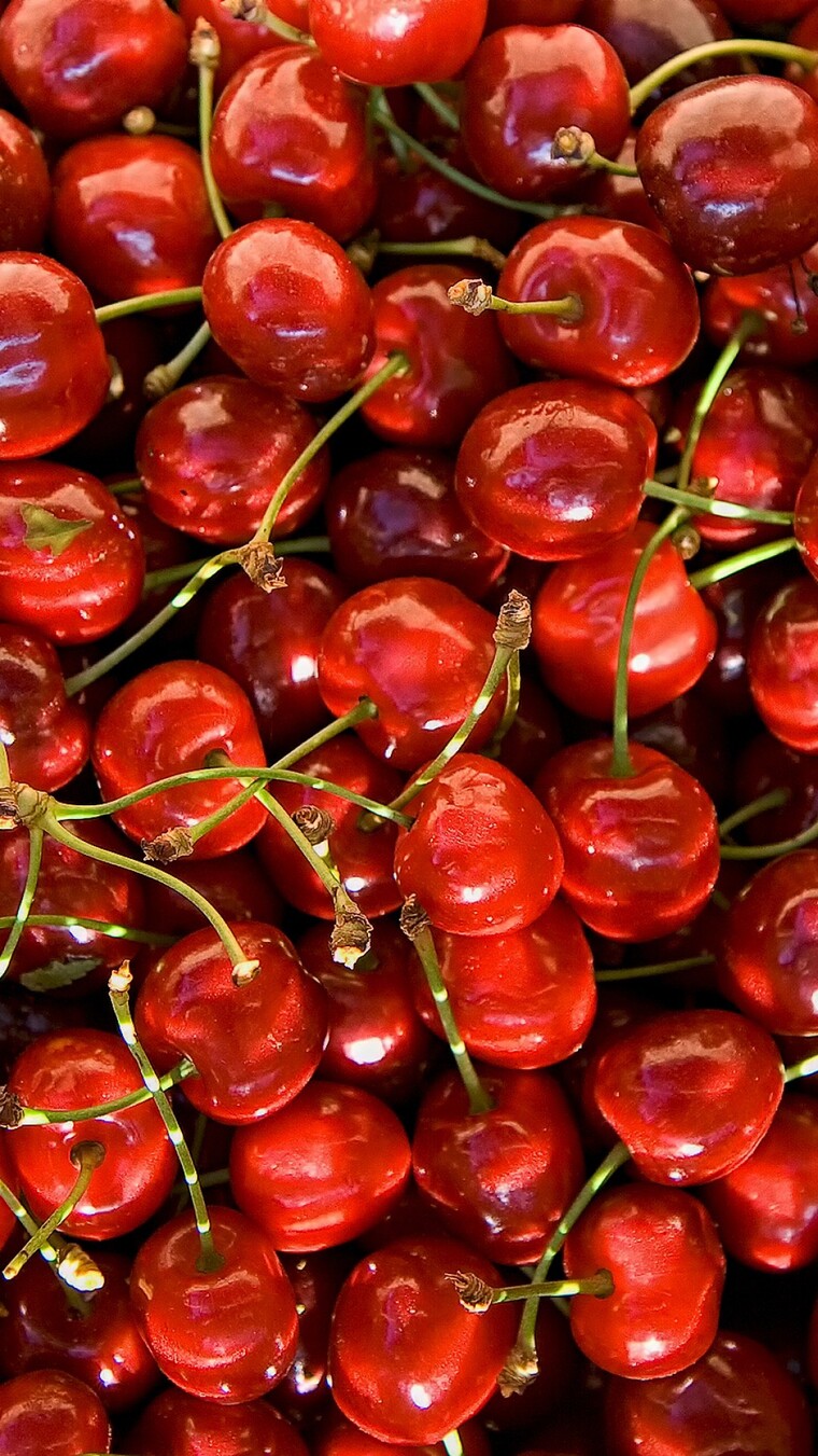 Cherry Petite banner image