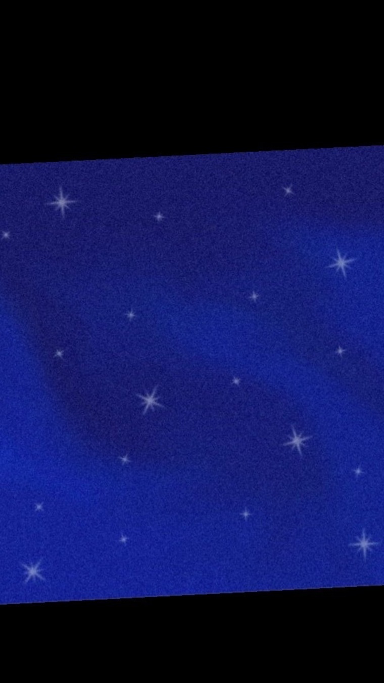 Magenta Belle banner image