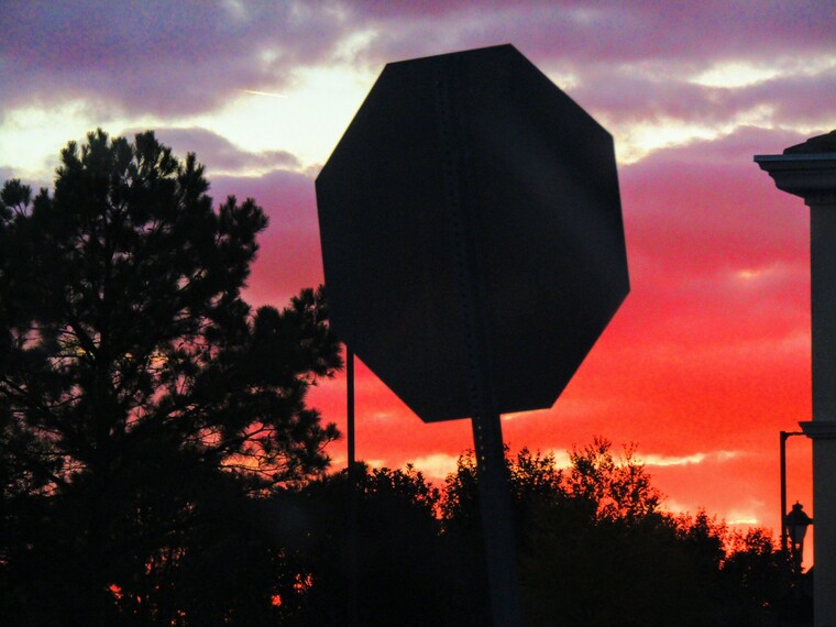 Cherry banner image