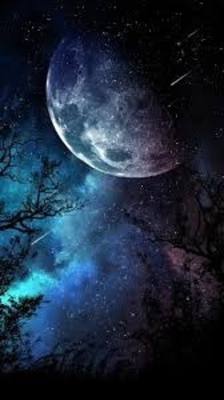Cheshire_BBW banner image