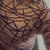 Chi_baby avatar