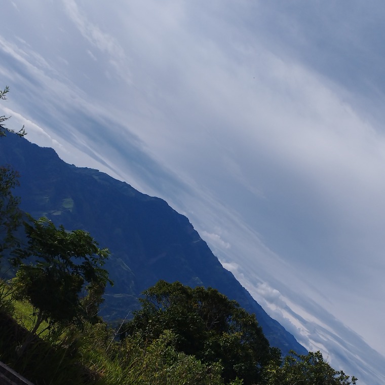 Chicohonesto cover image
