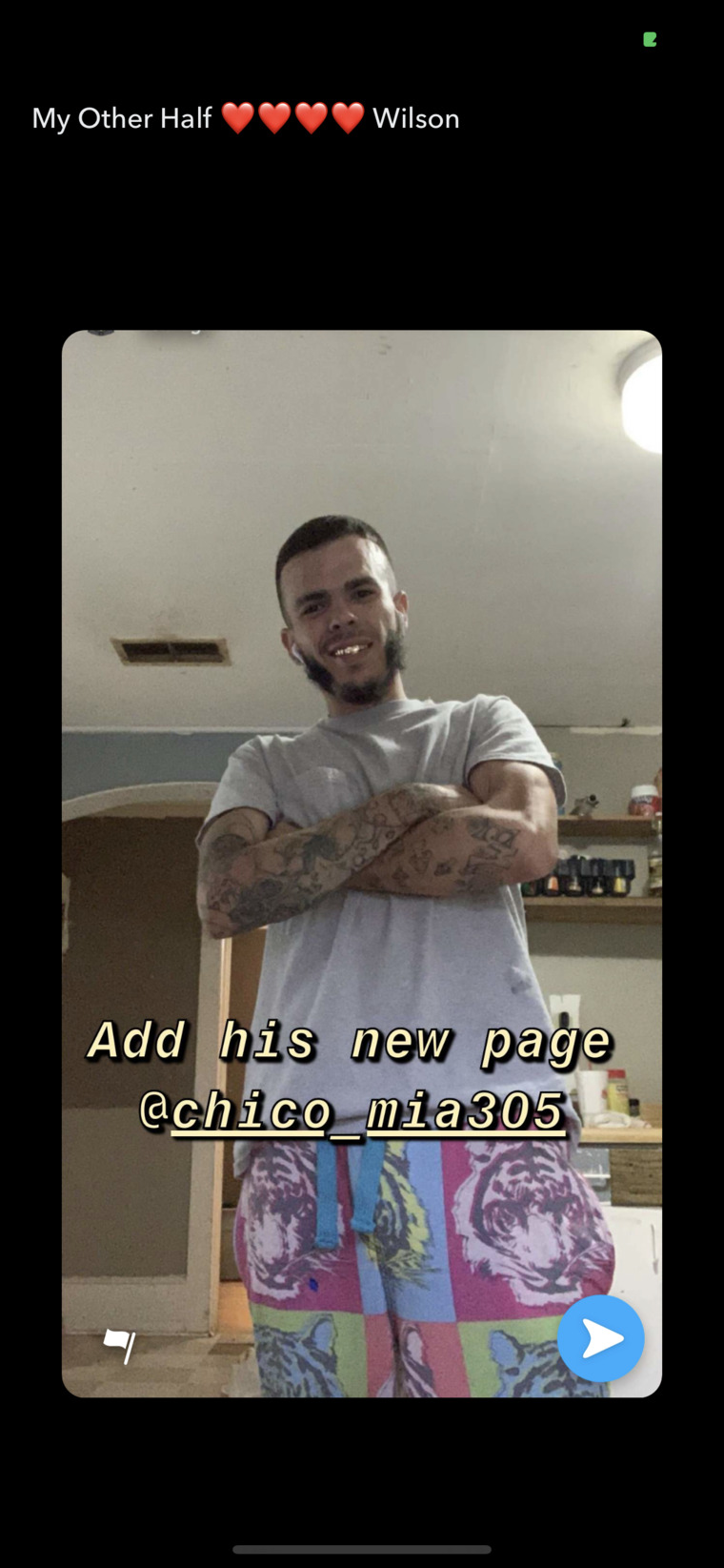 Chicostickya305 cover image