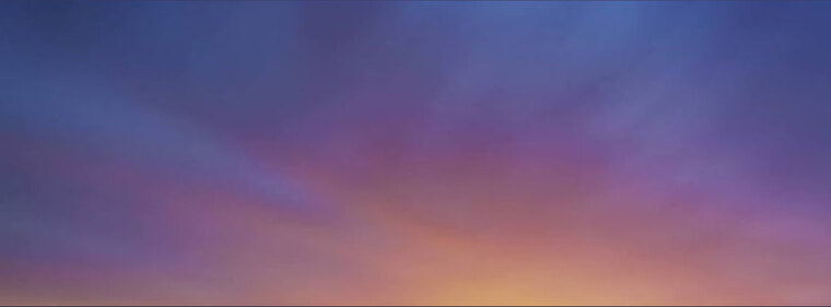 Chico Turco banner image