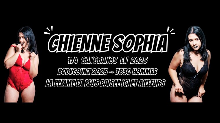 chiennesophia banner image