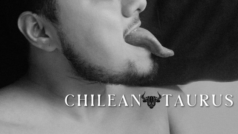 @ChileanTaurus🦬🔥 banner image
