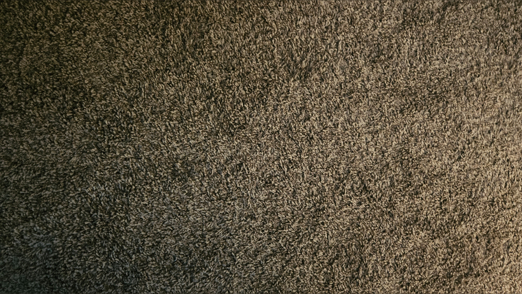 Steven banner image