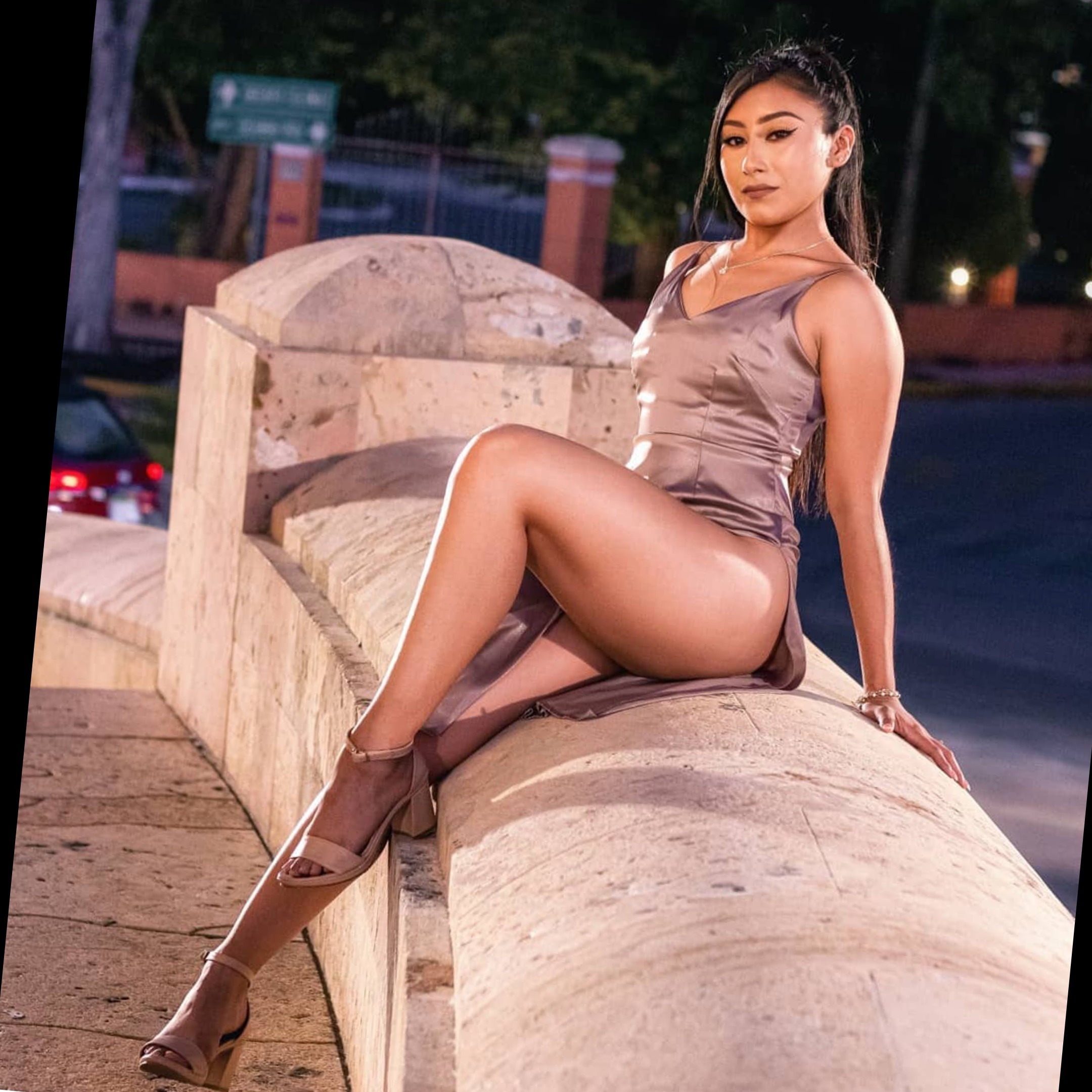 Roci estrella banner image