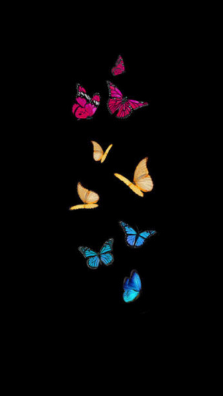 Christina Rose banner image