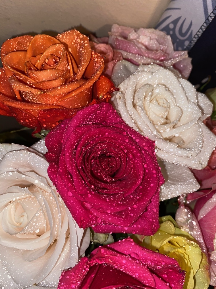 Chitownemily cover image