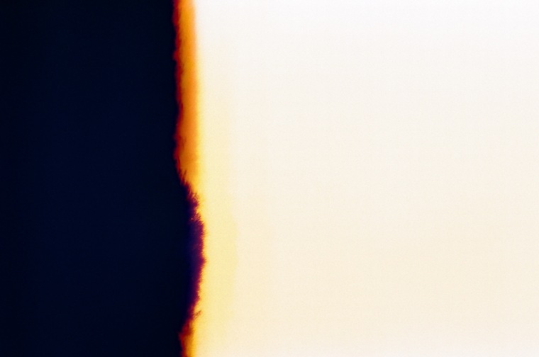 Chloeyoutpet cover image