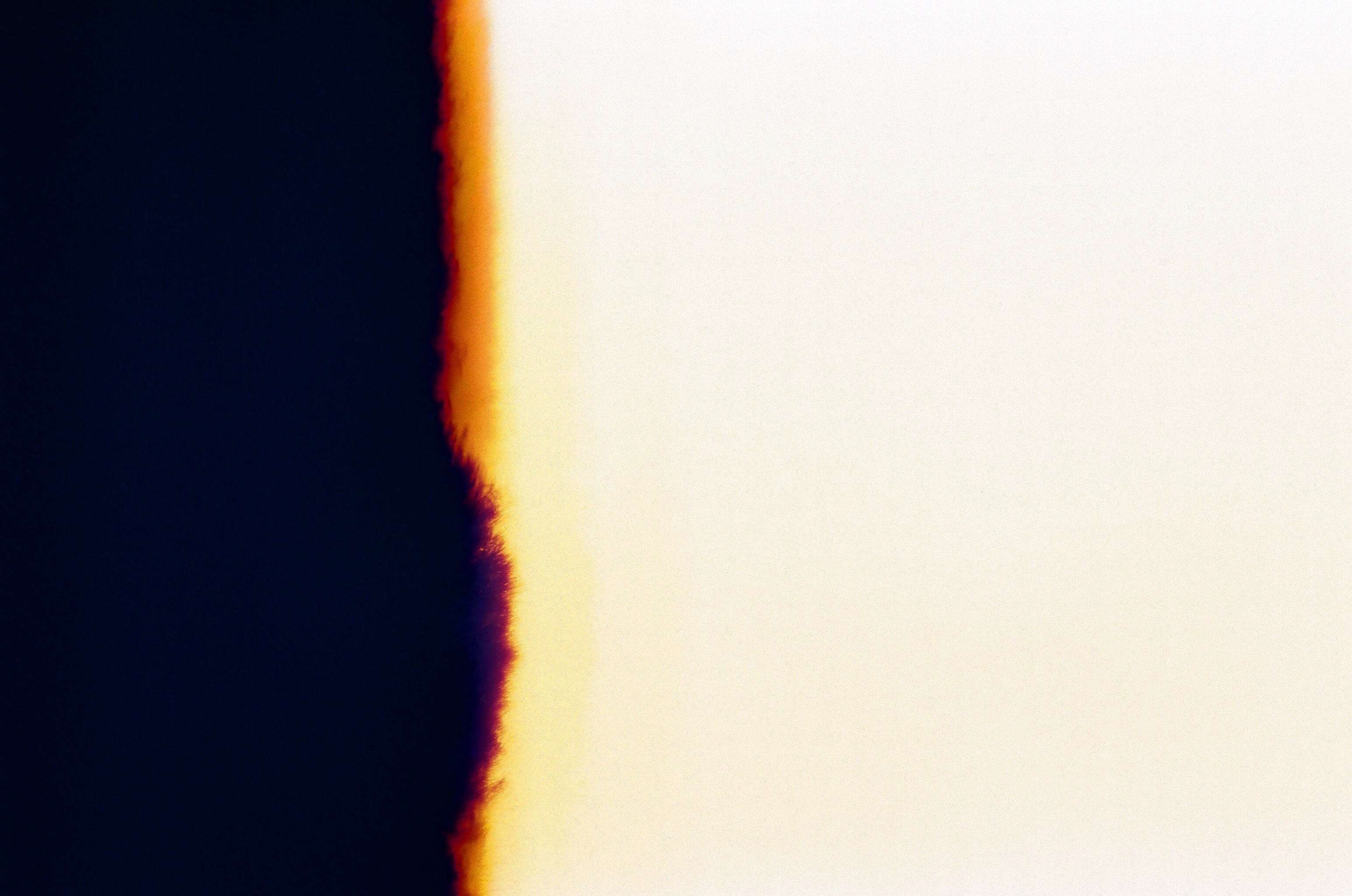 Chloeyoutpet banner image