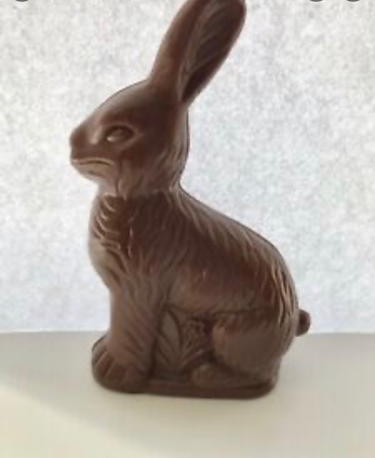 Chocolate_bunny banner image