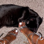 Chocolate Feet avatar