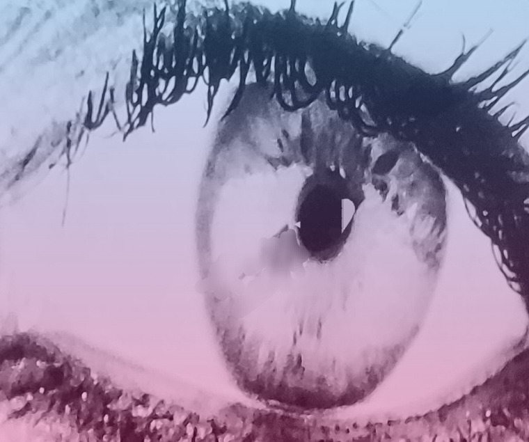 Daniella Coco banner image