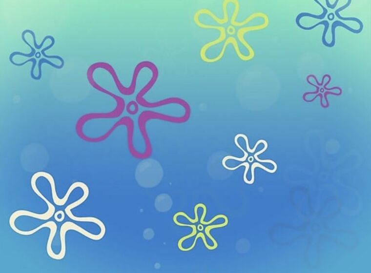 Bella banner image