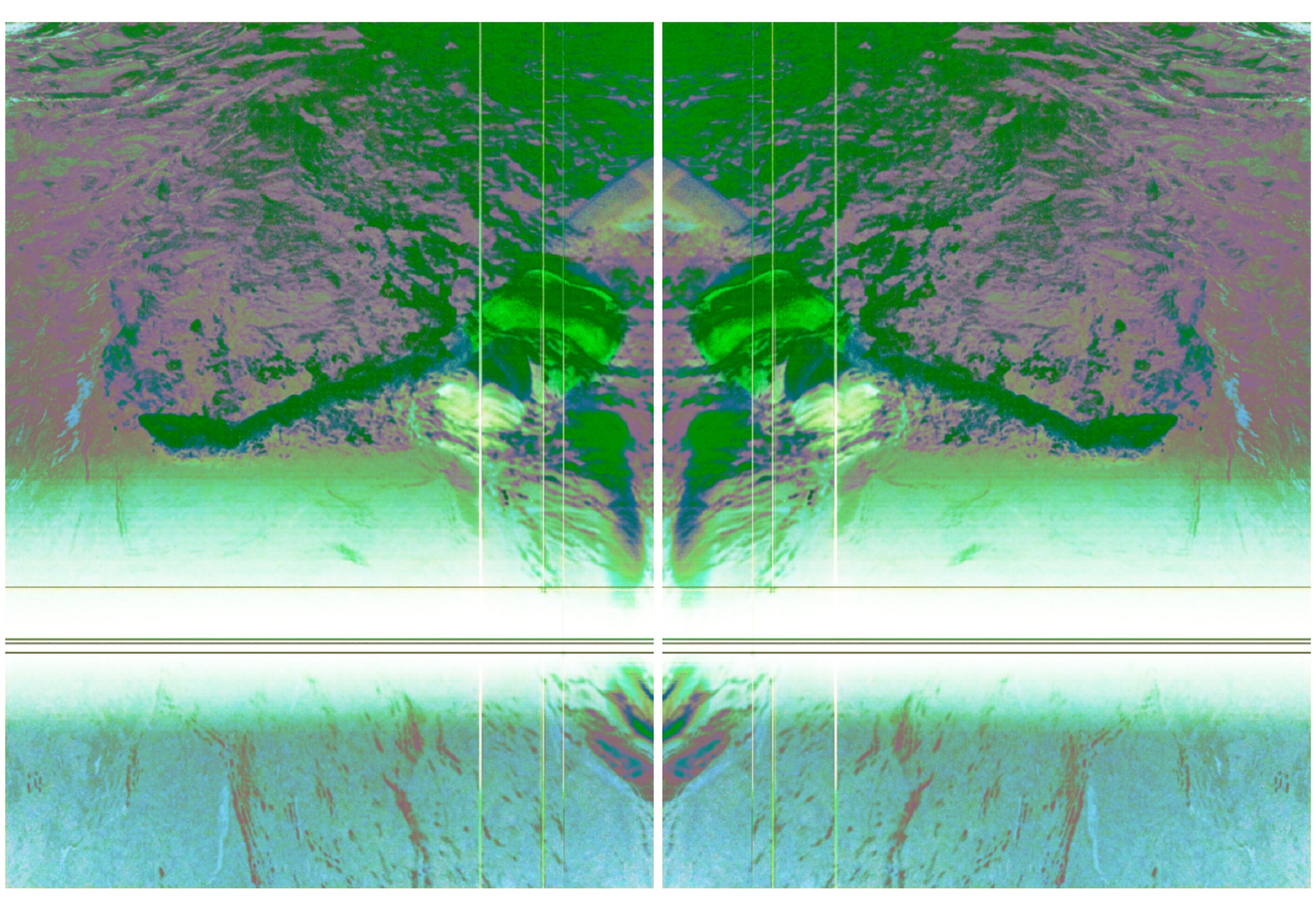 Galilea banner image