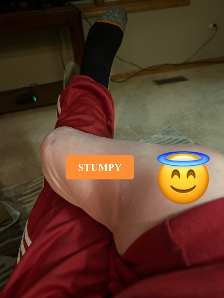 Adventures of STUMPY & da COCK cover image