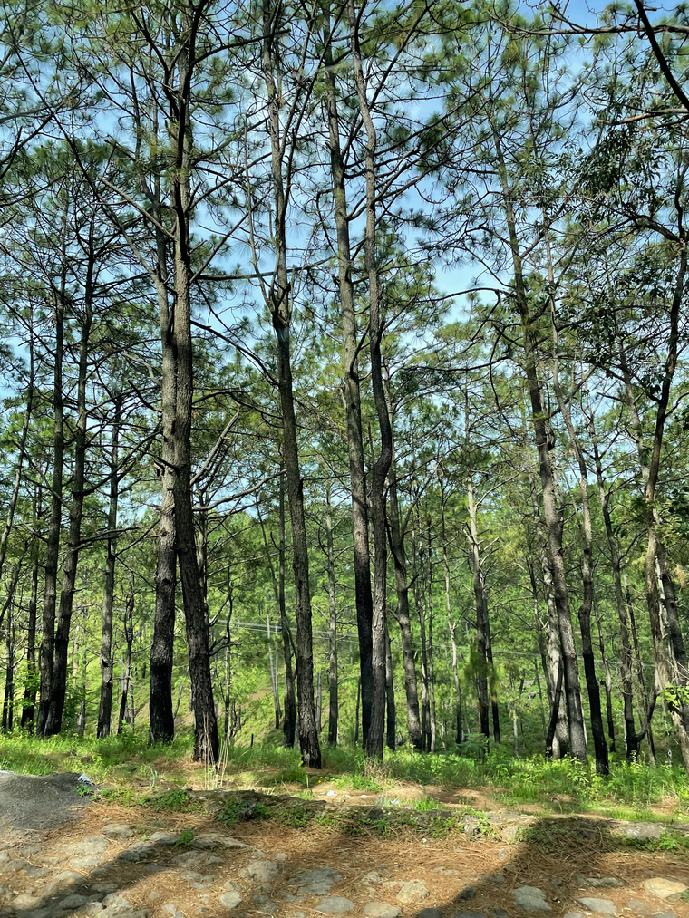pretty feet fetish.🦶🏻🌼💕 cover image