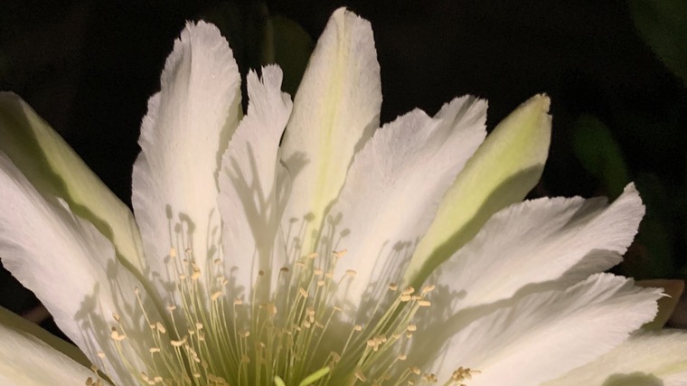 u62080415 banner image