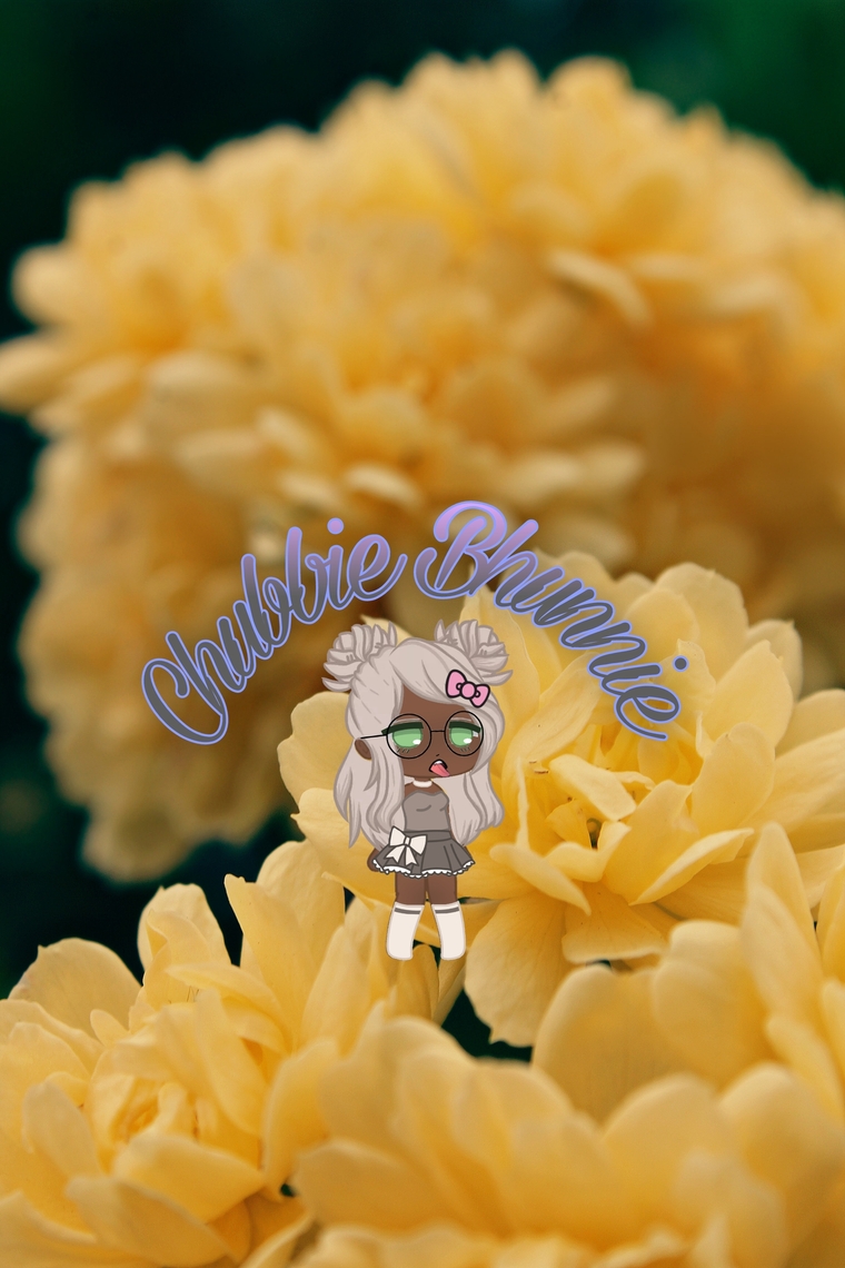 Chubbie Bhunnie banner image