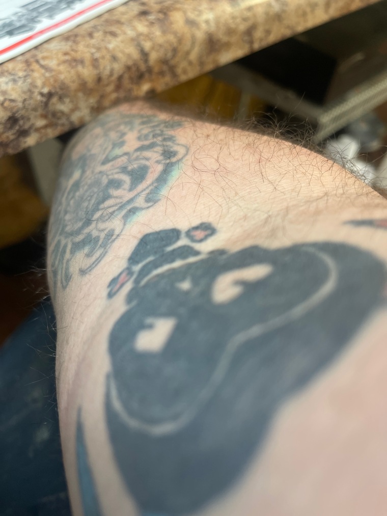 Chubbydad cover image