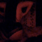 Rose BBW avatar