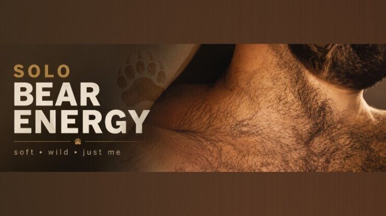 Chubby Hairy Bear cover image