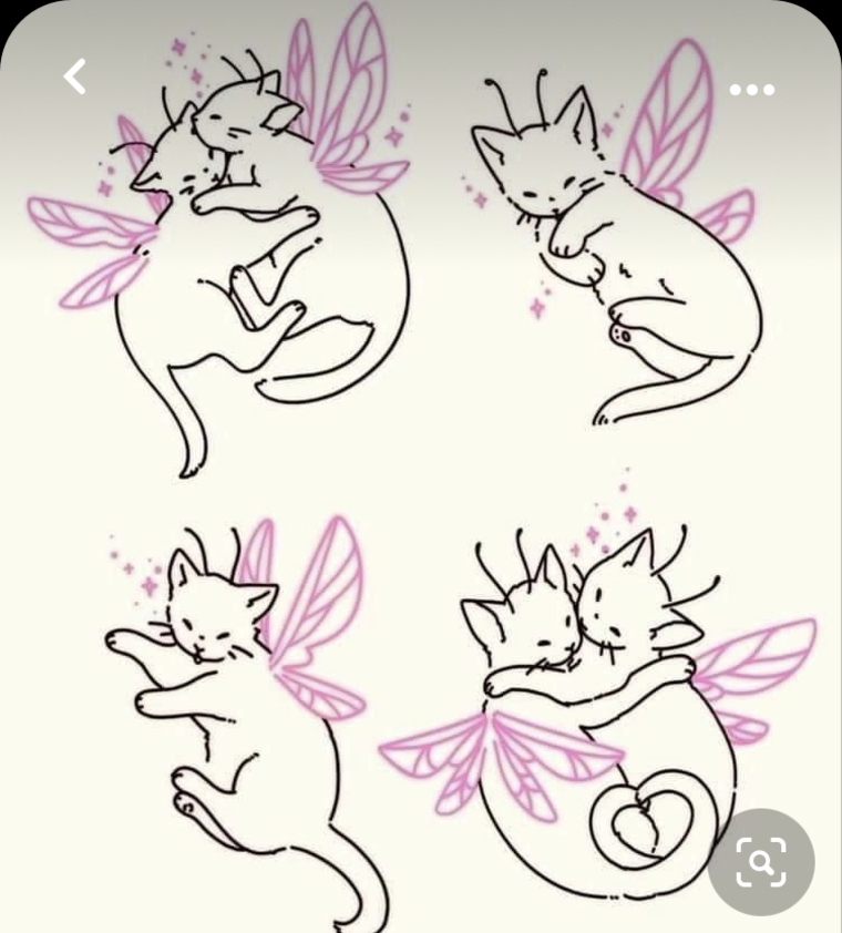 Chubby Toes banner image