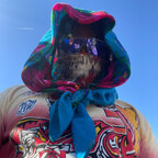 ChucktheGemini avatar