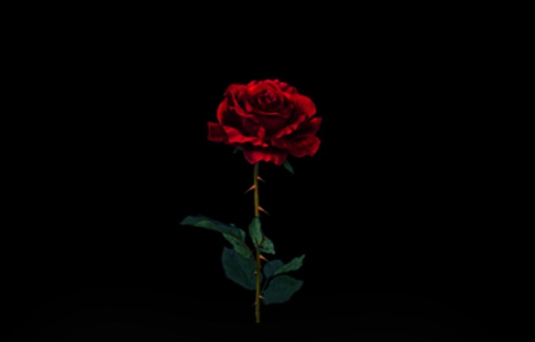 Baby cover image