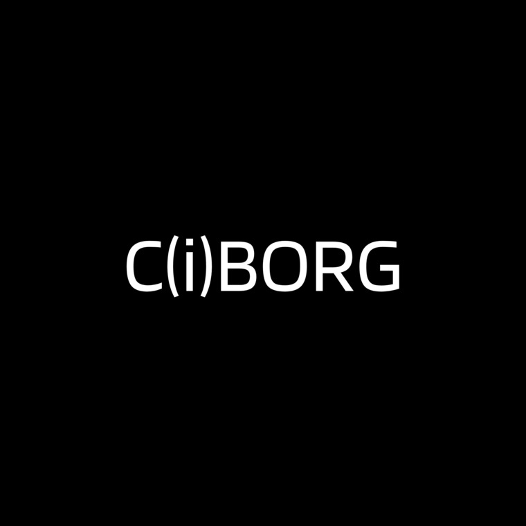 C(i)BORG Designs banner image