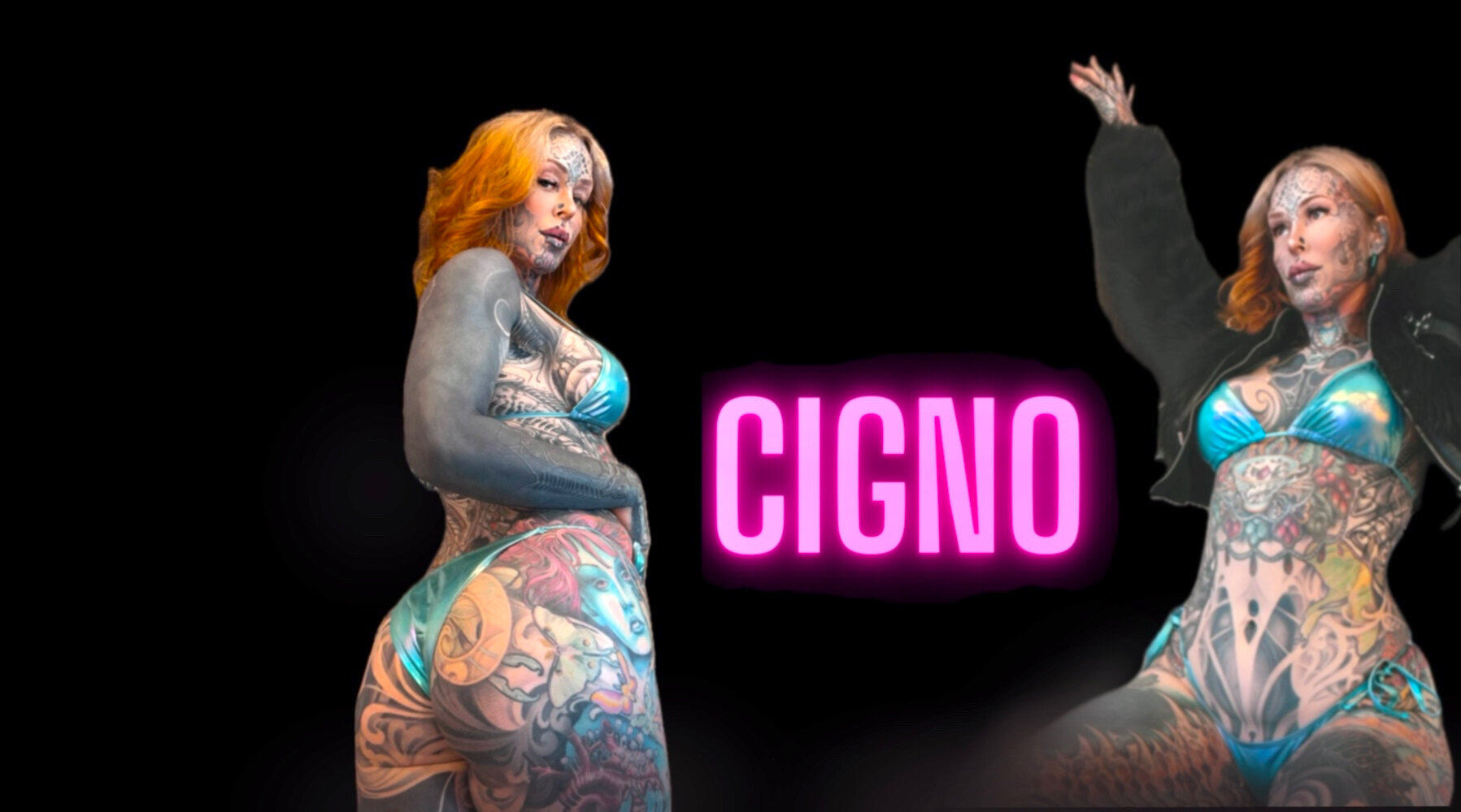Cigno banner image