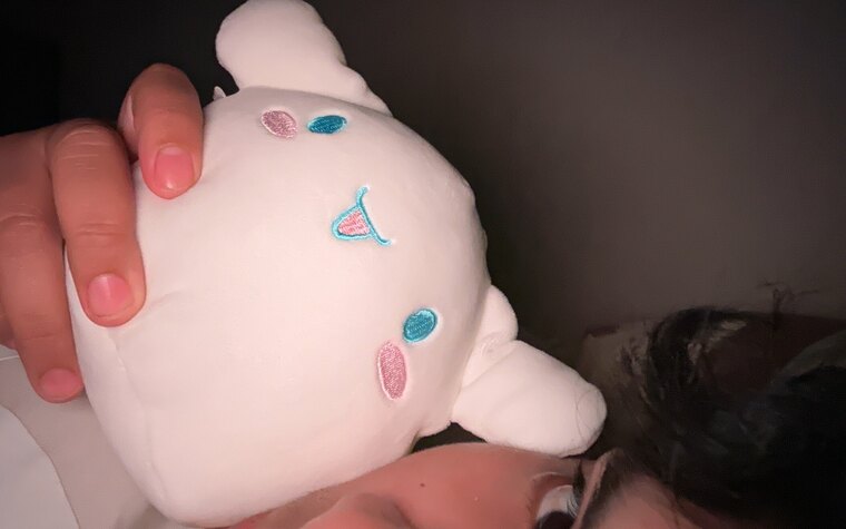 Cinamonroll banner image