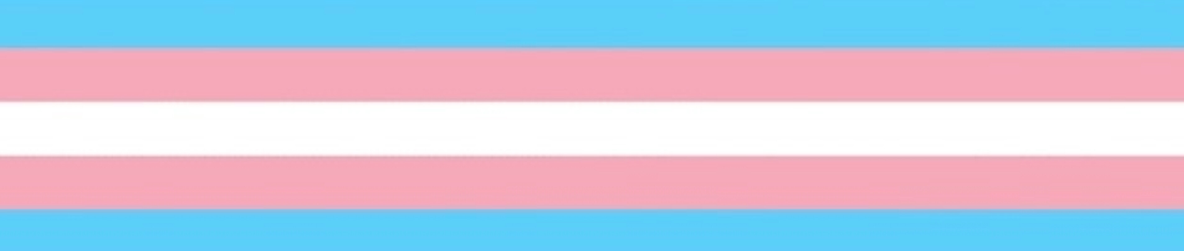 Bunny banner image