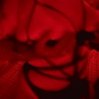 Citric Acid avatar