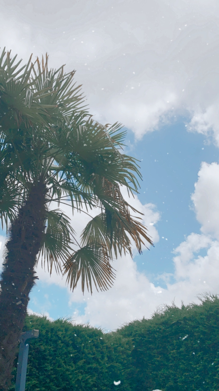 cjkl cover image