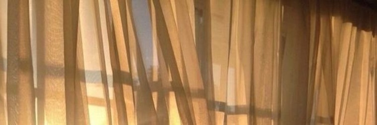 Claire Foxxx banner image