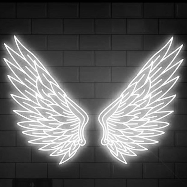 Clara_luz banner image