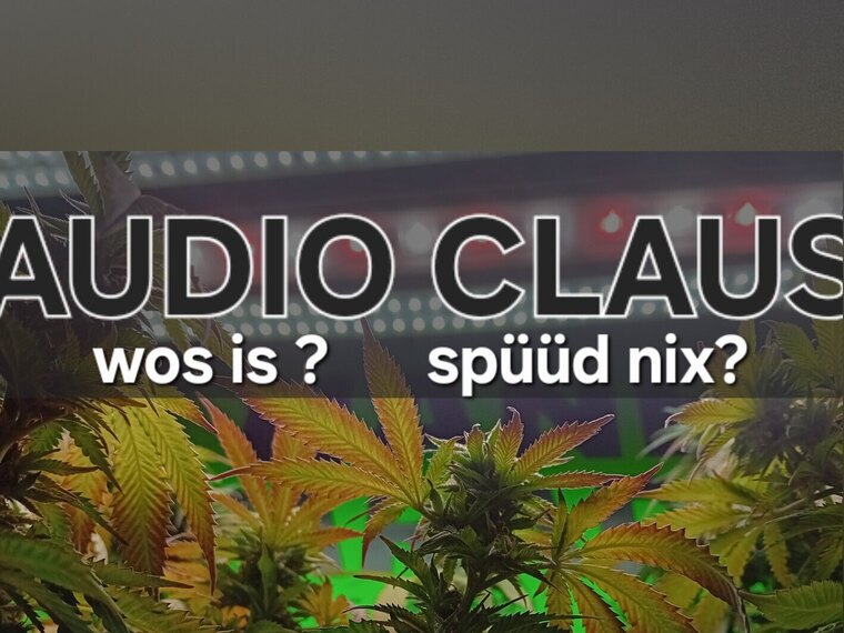 Audio Claus / unzensiert cover image