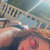 Claudia Lopez avatar