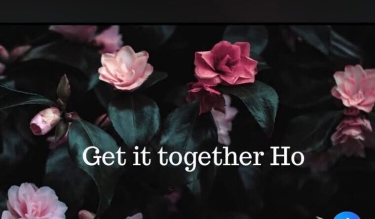Cleome47 banner image